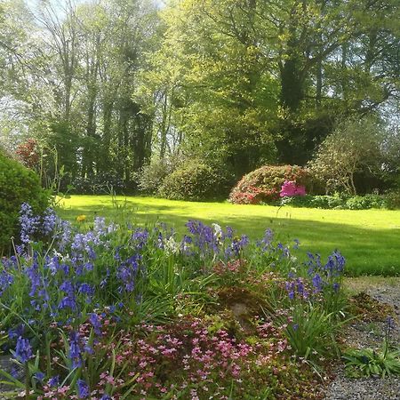Carncairn Villa Broughshane Oda fotoğraf