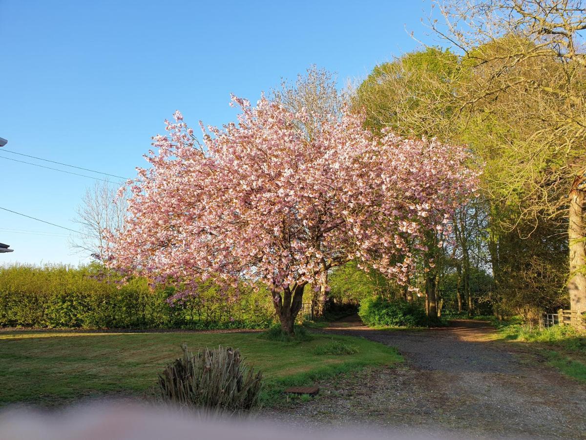 Carncairn Villa Broughshane Dış mekan fotoğraf