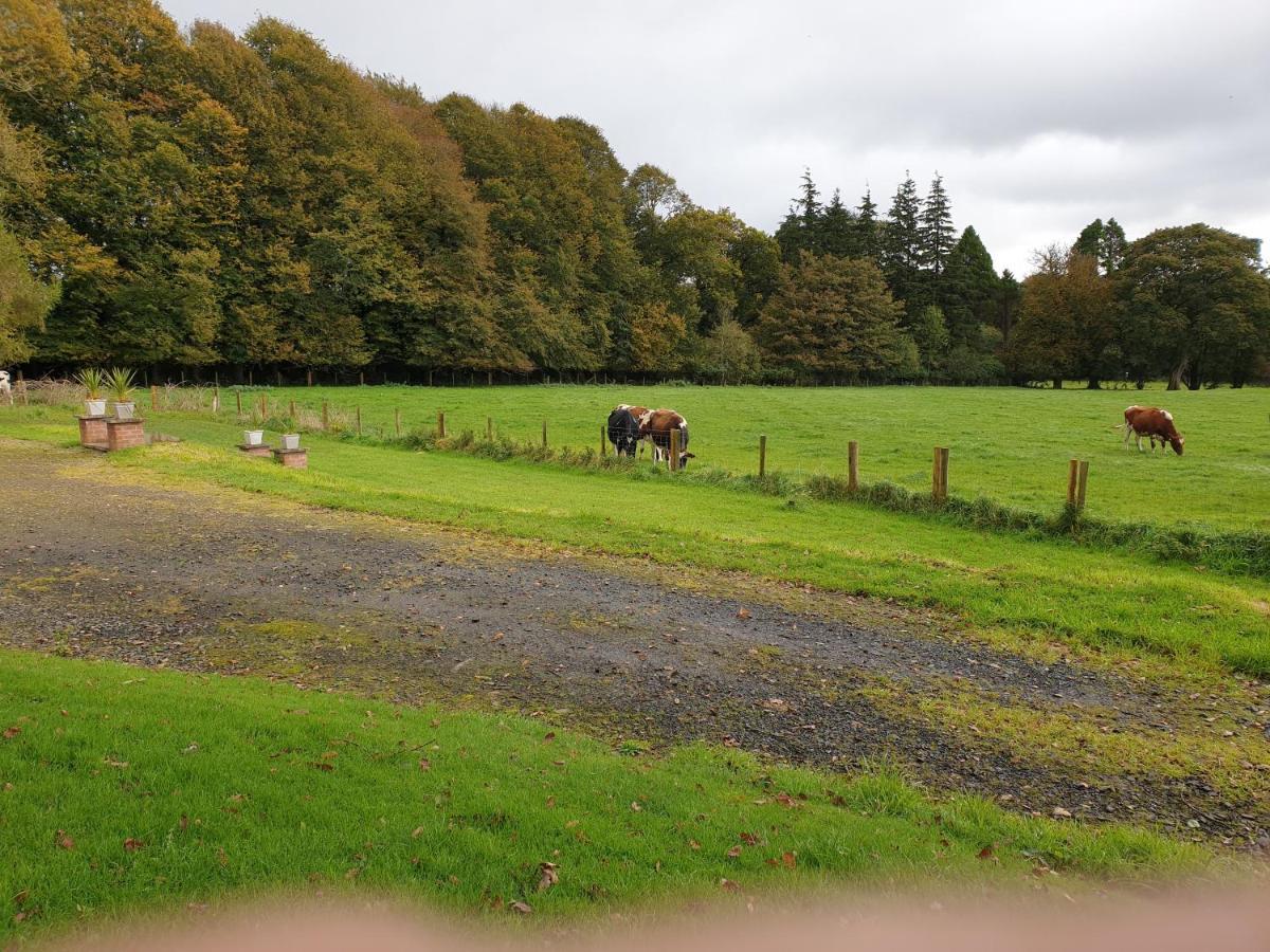 Carncairn Villa Broughshane Dış mekan fotoğraf