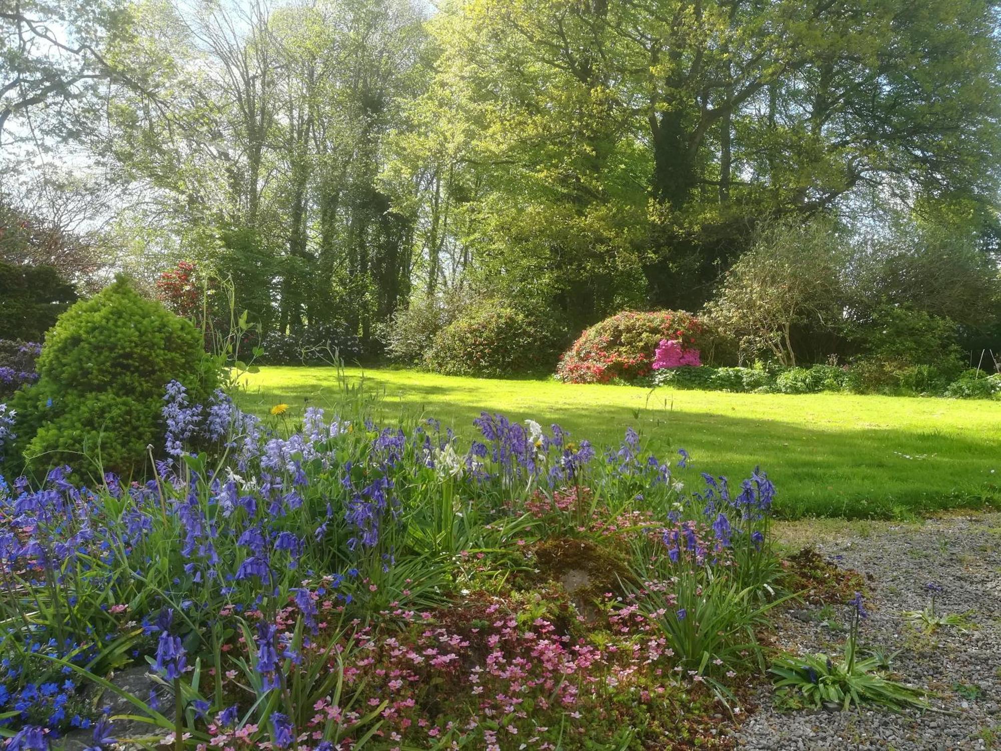 Carncairn Villa Broughshane Oda fotoğraf