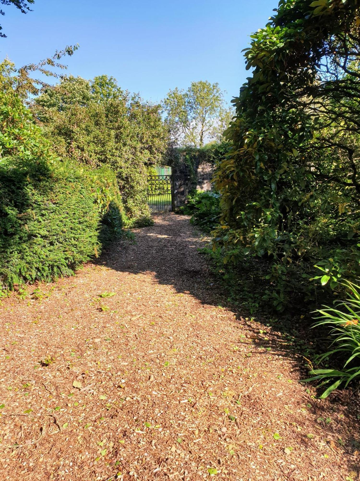 Carncairn Villa Broughshane Oda fotoğraf