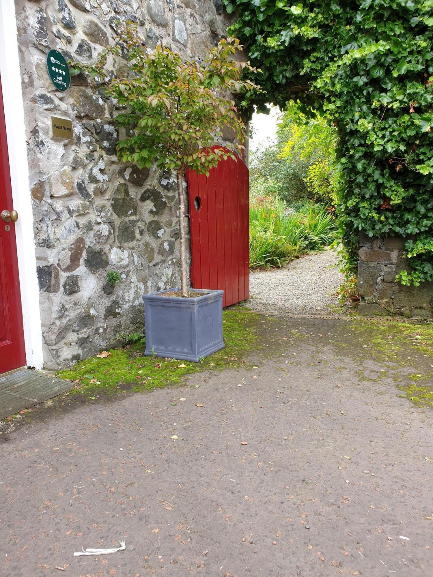 Carncairn Villa Broughshane Oda fotoğraf
