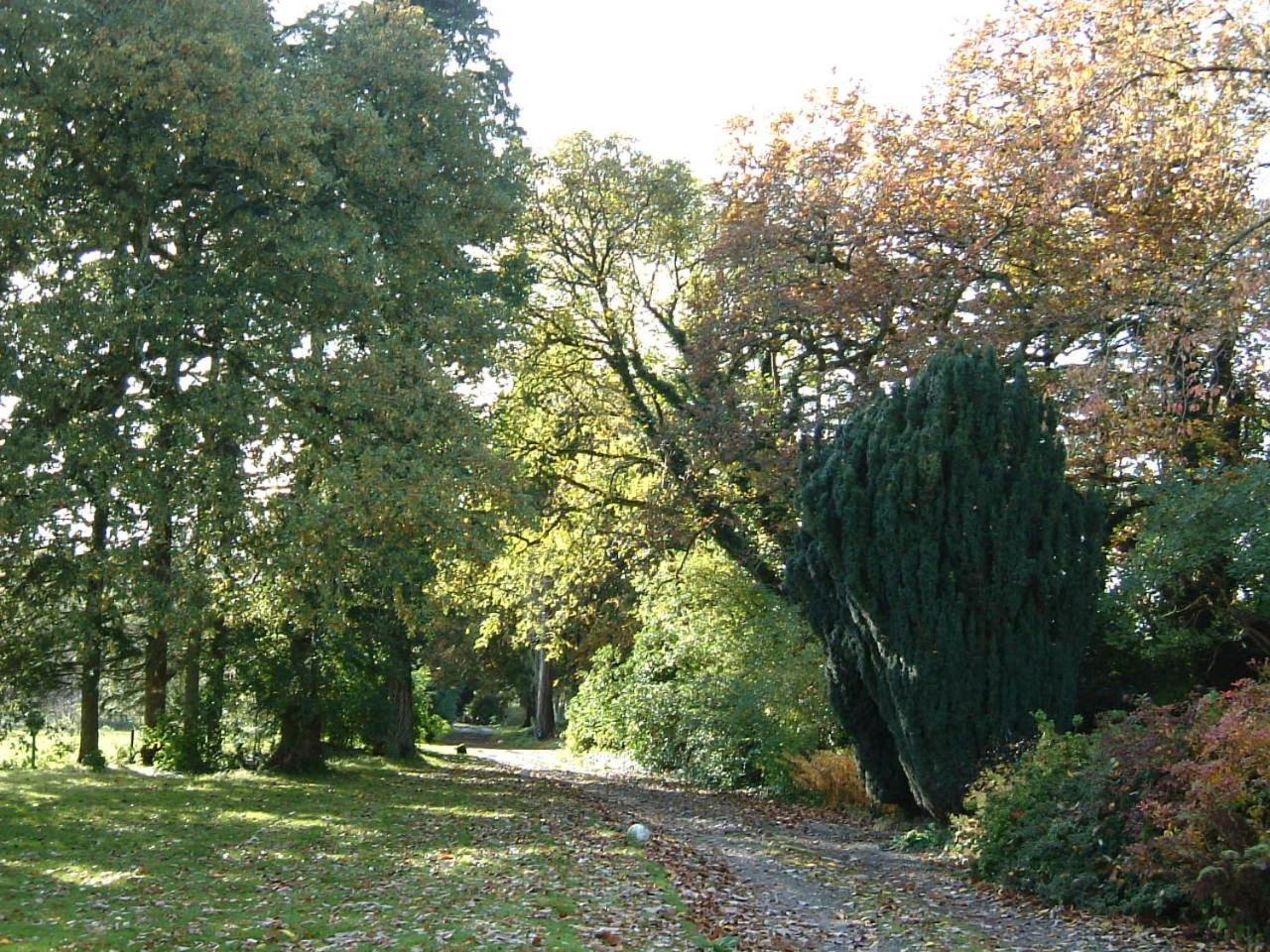 Carncairn Villa Broughshane Dış mekan fotoğraf